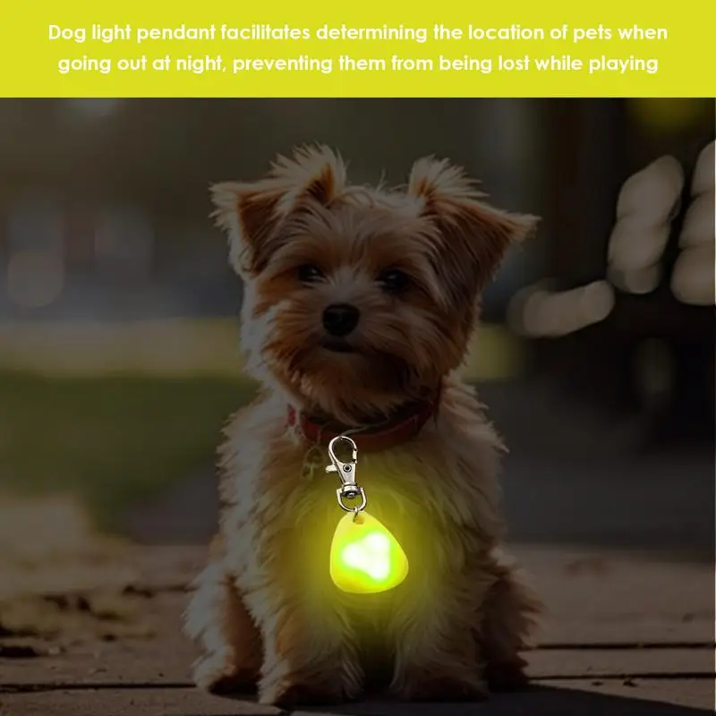 Luces LED con Clip para perro, colgantes de Collar para caminar por la noche, Clip de resorte de acero inoxidable, suministros antipérdida para correr y acampar - imagen 5