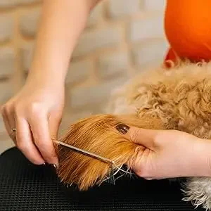 metal dog comb for goldendoodle