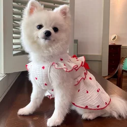 Vestido lazo primavera para perro y gato – Estampado corazones