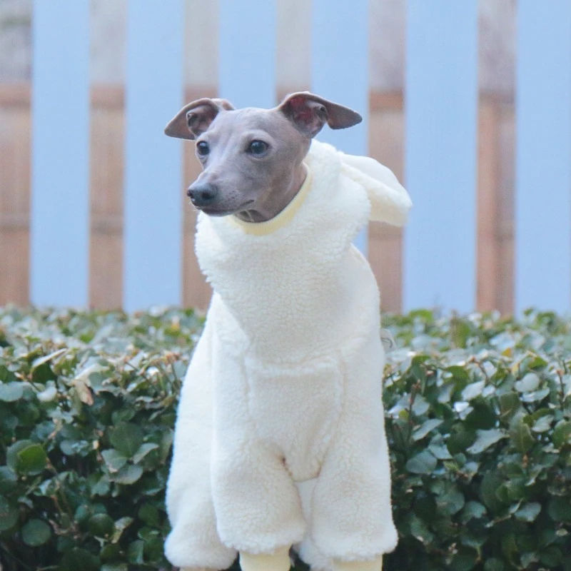 Monos de invierno gruesos para galgos y Whippets – A prueba de viento