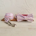 Bow Tie Collar Leash