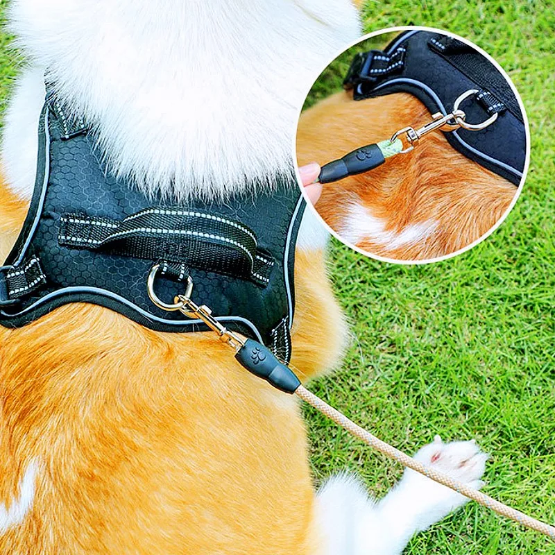 Correa para perros reflectante ajustable con dispensador de bolsas - imagen 4