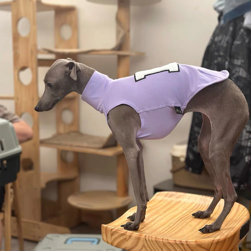 Camisa de algodón a rayas para Whippet y Galgo Italiano – Chaleco - imagen 5