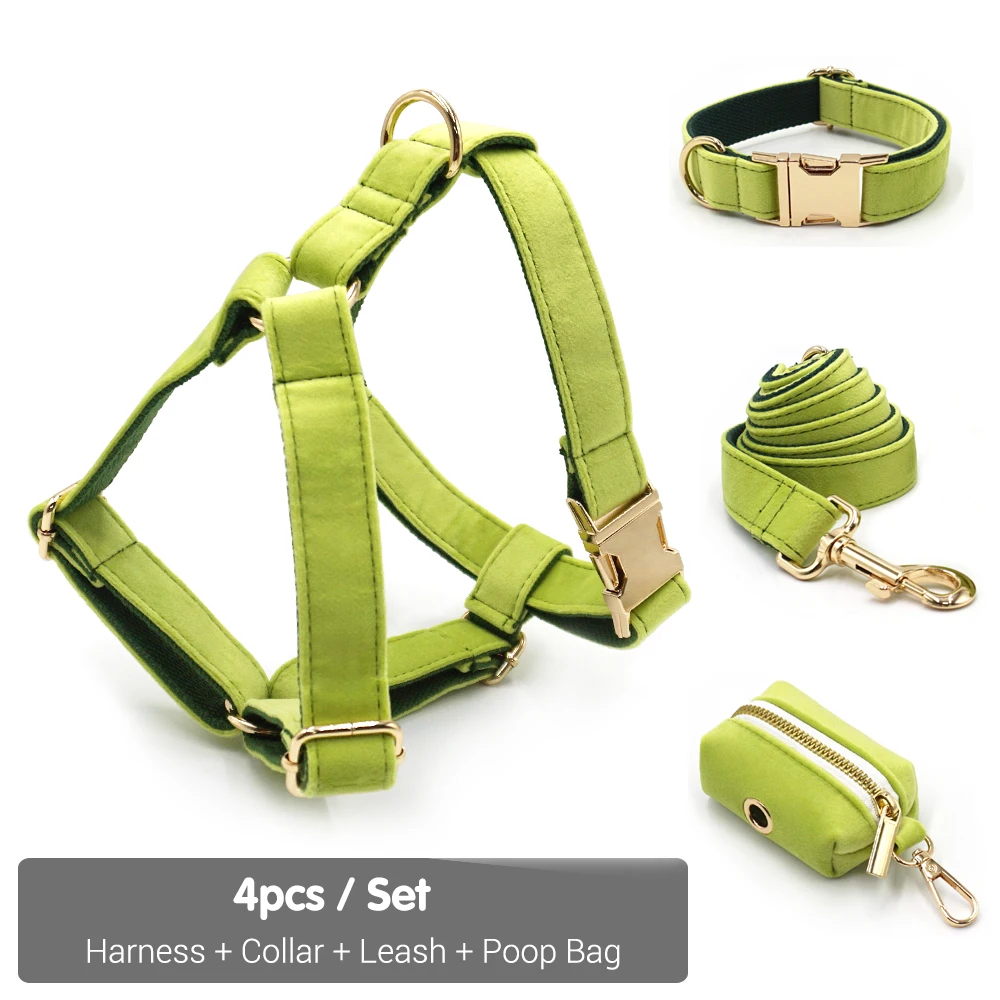 Harness Collar Set