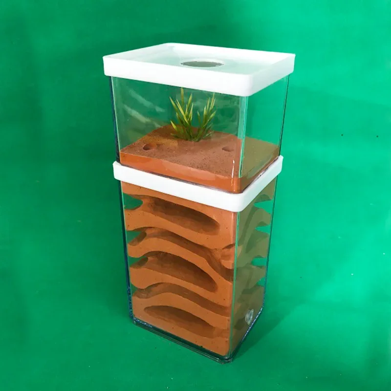 Granja de hormigas de yeso de alta humedad, Castillo de insectos para Hotel, nido de hormigas ecológico, taller de hormiguero para mascotas, casa de hormigas, pueblo con área de alimentación - imagen 4