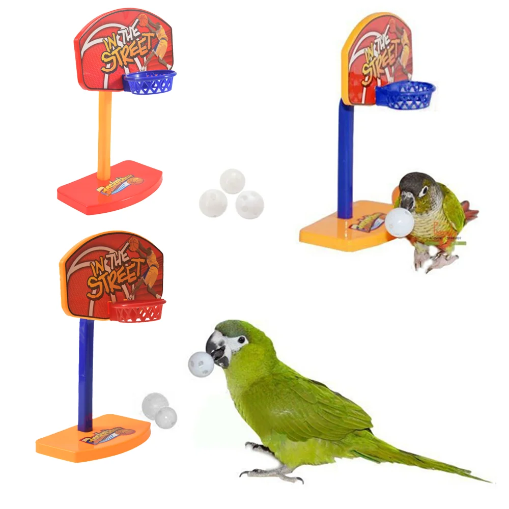 Rompecabezas de loro para entrenamiento, juguete de desarrollo intelectual, aro de baloncesto Mini, Bola de Kring, suministros para mascotas, 1 unidad - imagen 2
