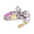 bow collar leash