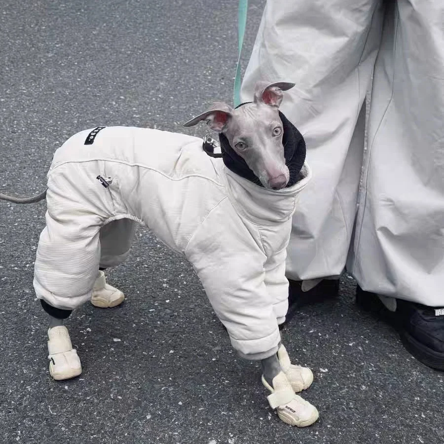 Abrigo grueso y cálido para perros medianos en invierno, chaqueta de café impermeable a prueba de viento, bufanda de lana, traje para Bedlington en clima frío - imagen 4