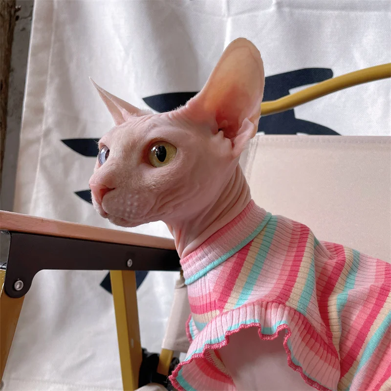 Ropa de gatos Algodón suave Chaleco de color arco iris para Sphnx Gato Mangas cortas con volantes Mono para gatitos Vestido de verano para gatos perros - imagen 3