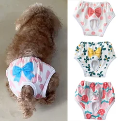 Pañales reutilizables fisiológicos para Chihuahua y perros mini