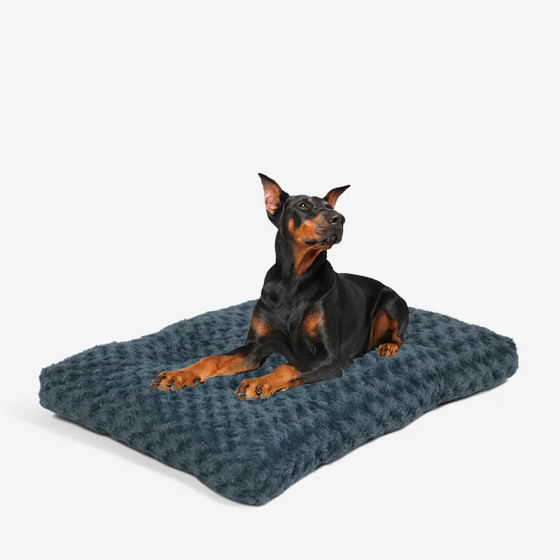 Cama sofá lavable para gatos y perros pequeños – Suave y cálida - imagen 2