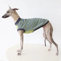 Camiseta rayas de algodón transpirable para galgo italiano y whippet