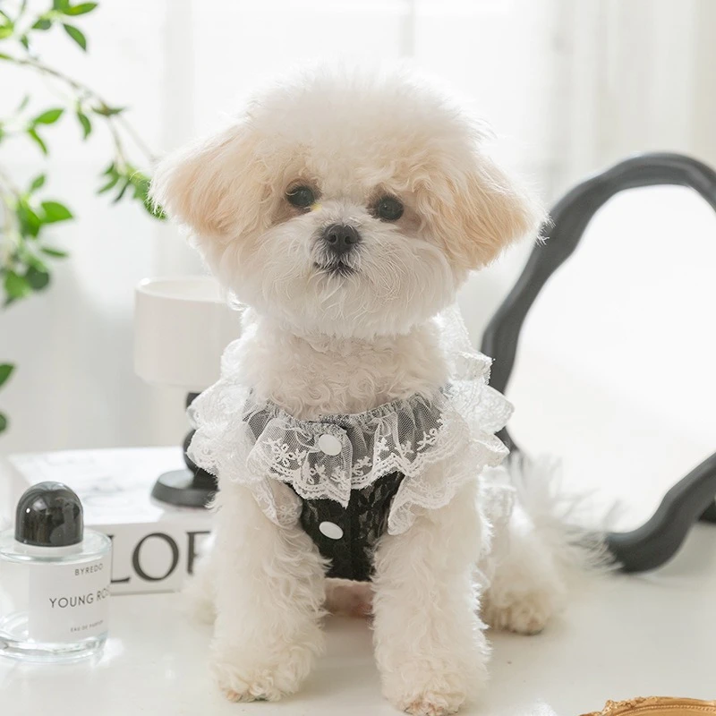 Ropa Sexy de encaje para cachorros, chaleco corto de princesa de tul transpirable para perros pequeños y medianos, falda personalizada con forma de corazón y gato de circón - imagen 2