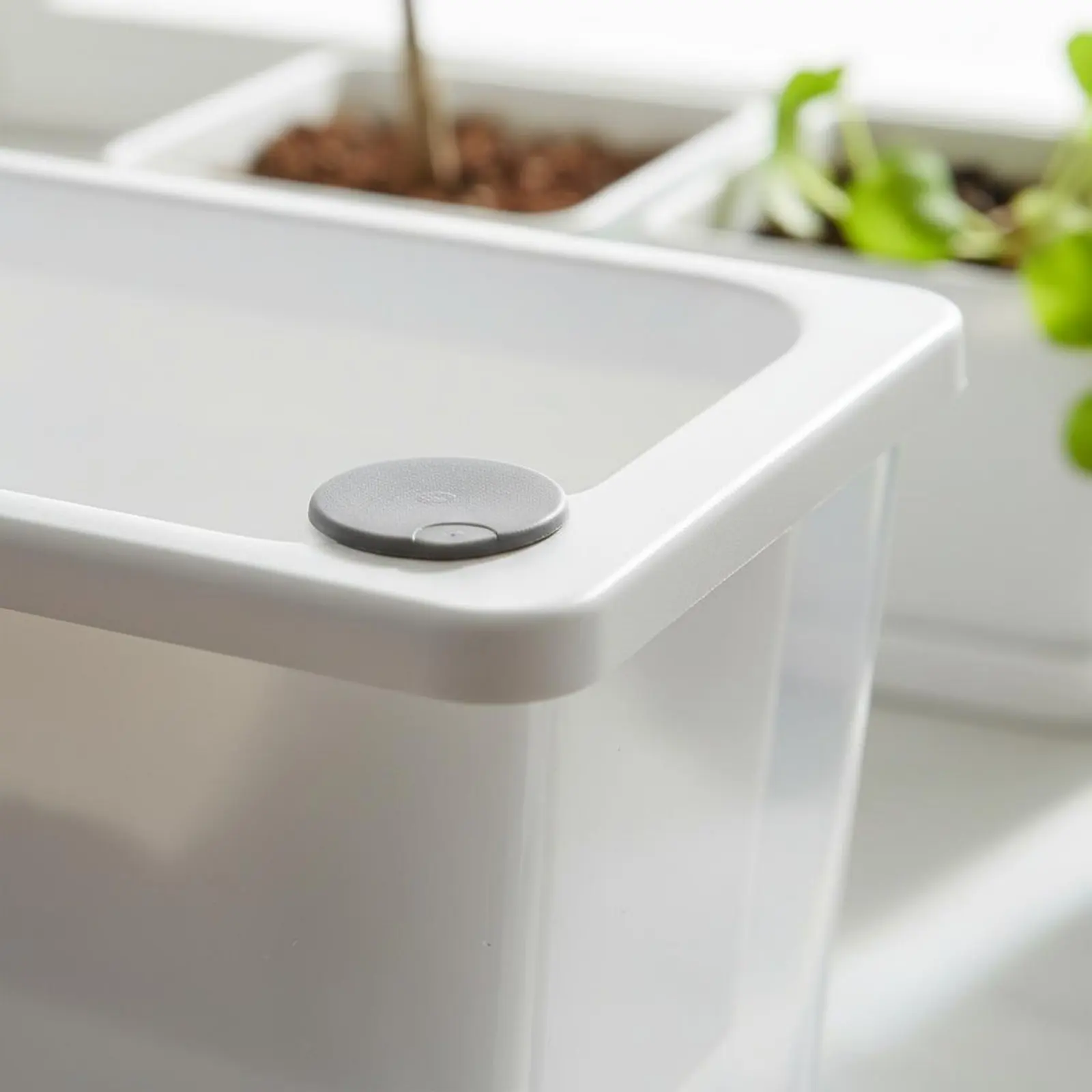 Maceta con riego automático para plantas no tóxicas mascotas - imagen 3