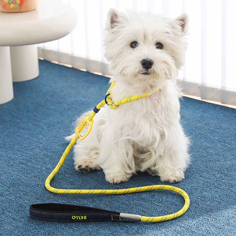 Correa a prueba de explosiones para perro, Correa canina para caminar, suministros de cadena, una P - imagen 2