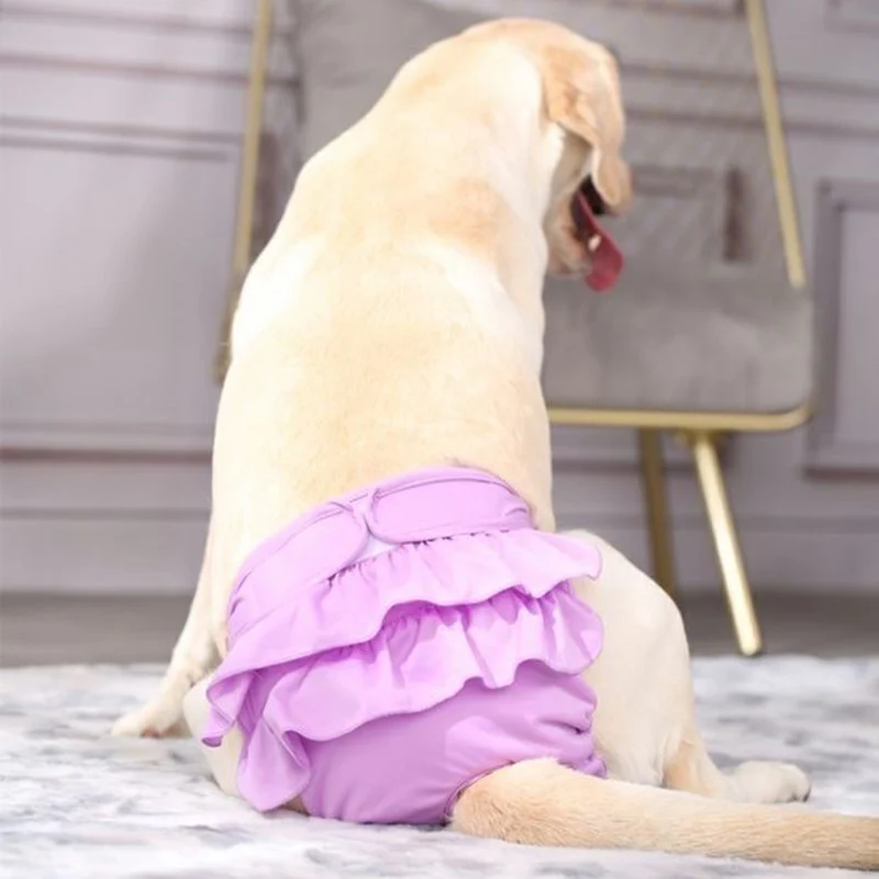 Pantalones fisiológicos reutilizables para mascotas, pañales sanitarios lavables para perros grandes y medianos, suministros para mascotas - imagen 3