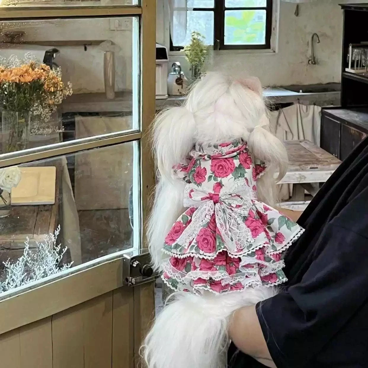 Vestido de princesa rosa para perro, camiseta sin mangas con múltiples pliegues, ropa para perro, gato, perro, Yorkshire, ropa de peluche para perros pequeños - imagen 4