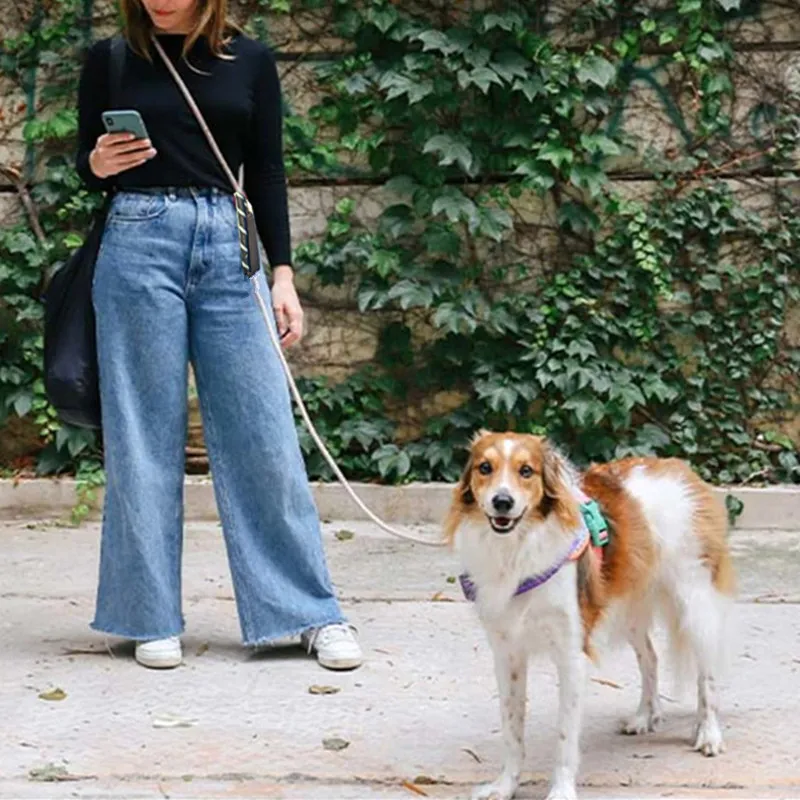 Correa reflectante manos libres perro - vista principal
