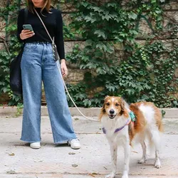 Correa reflectante y manos libres para perros – Segura para paseos