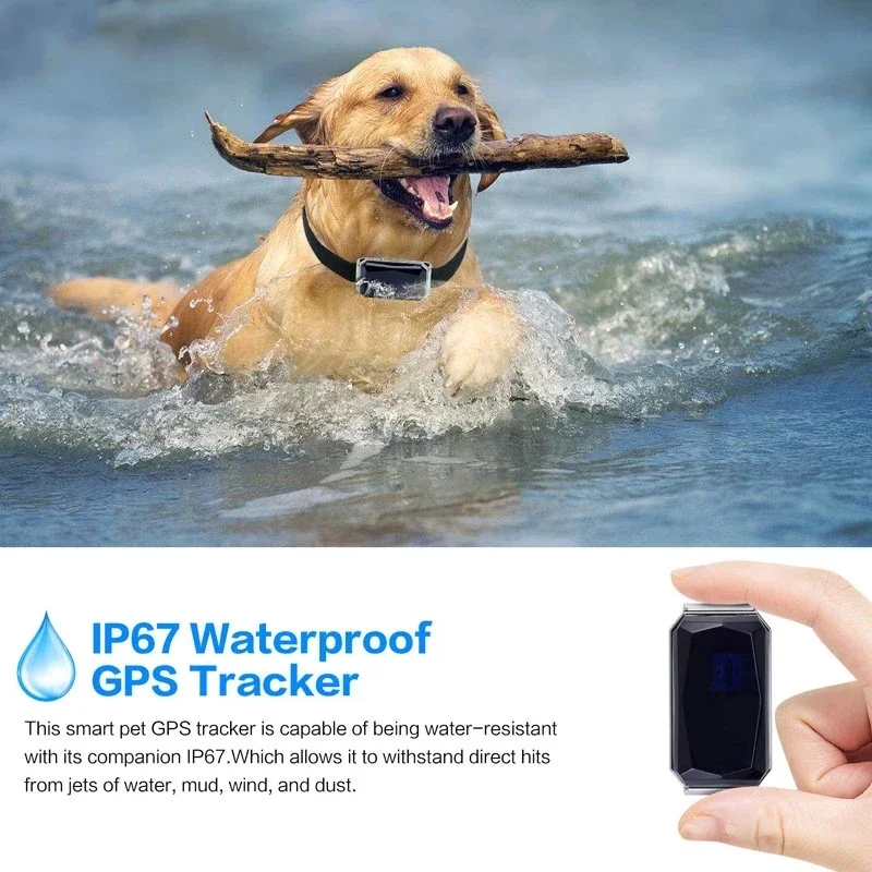 Collar para mascotas con rastreador Gps, Collar impermeable antipérdida para perros y gatos, artículos localizador de seguimiento de huellas de Larga modo de reposo al aire libre - imagen 4