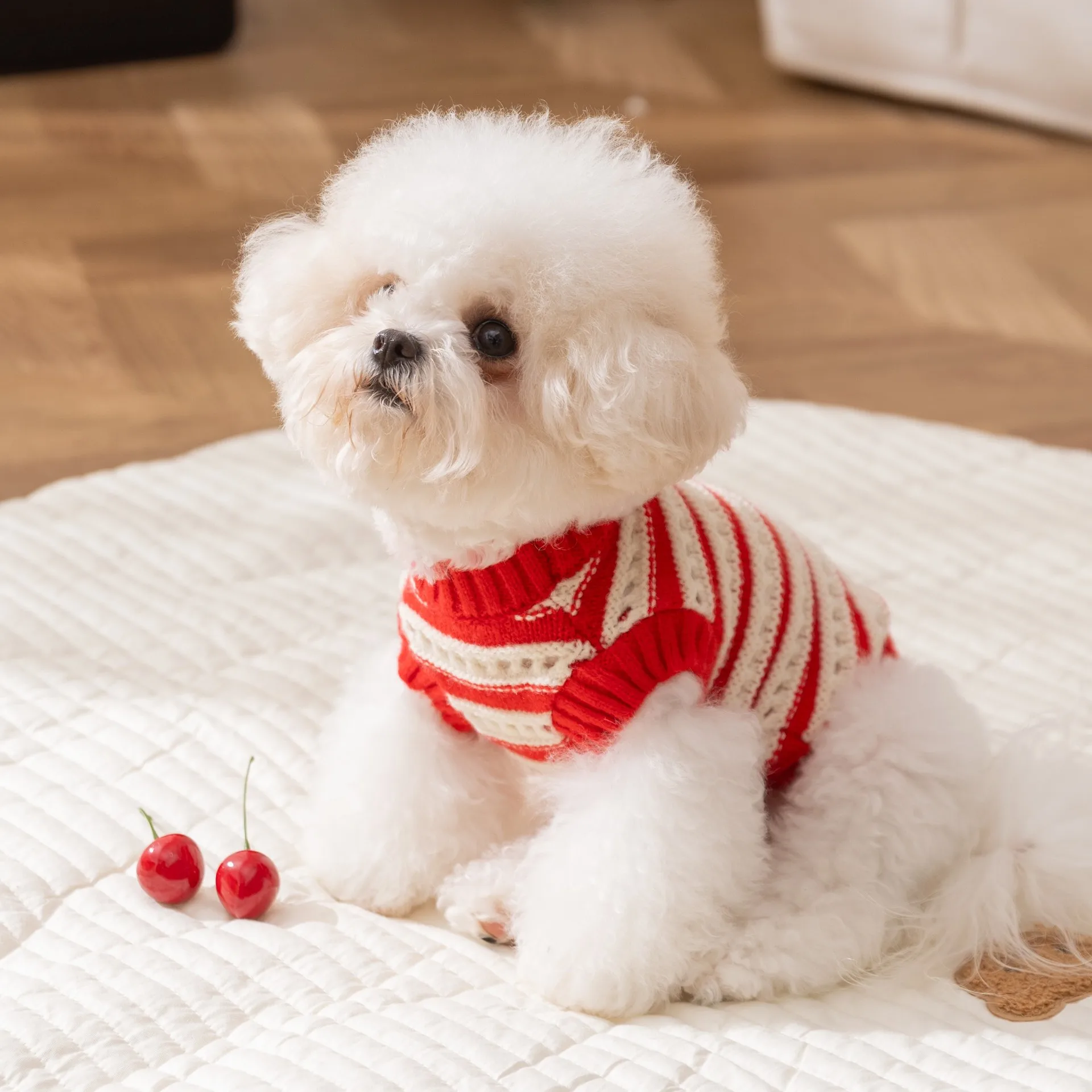 Suéter de punto de Navidad para mascotas, suéter a rayas de cereza roja, ropa para perros pequeños de peluche, ropa para perros de dos patas, Otoño/Invierno - imagen 3