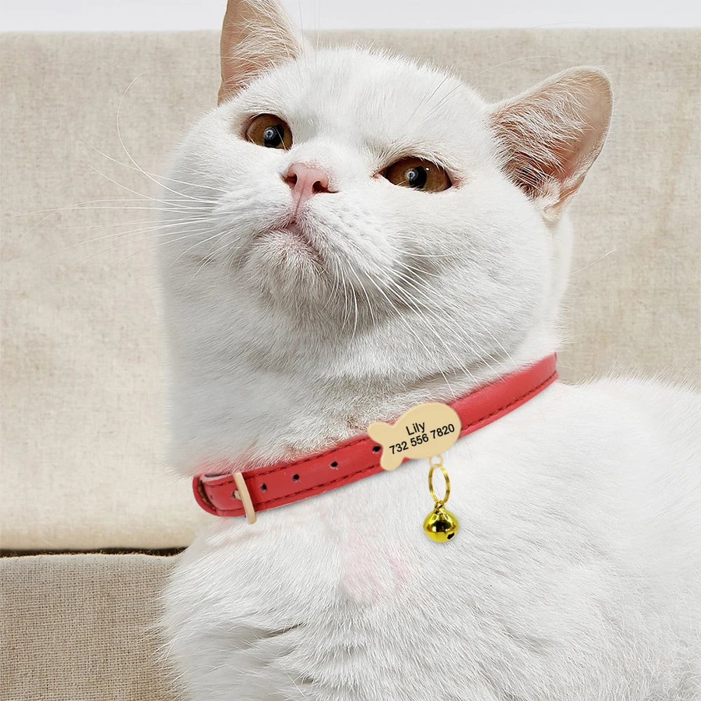 Collar de gato personalizado, collares con etiqueta de gato personalizados para perros pequeños, gatos, gatitos, cachorros, collares con placa con nombre, accesorios de grabado gratis - imagen 4