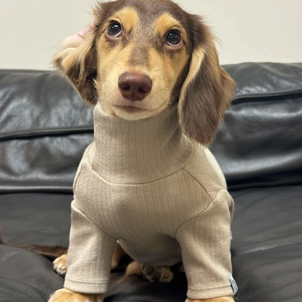 Abrigo suave de manga larga para perros Wiener, camiseta cálida de cuello alto para perros salchicha, pijamas dulces de invierno para perros tejón - imagen 4