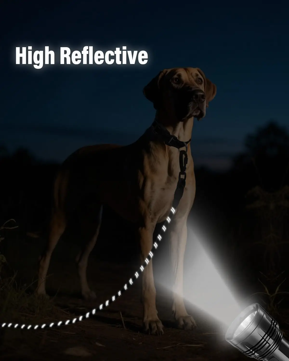 Correa de 30 pies de largo para perro con mango acolchado extraíble, correa resistente para perros grandes, correa de entrenamiento reflectante para jugar, acampar