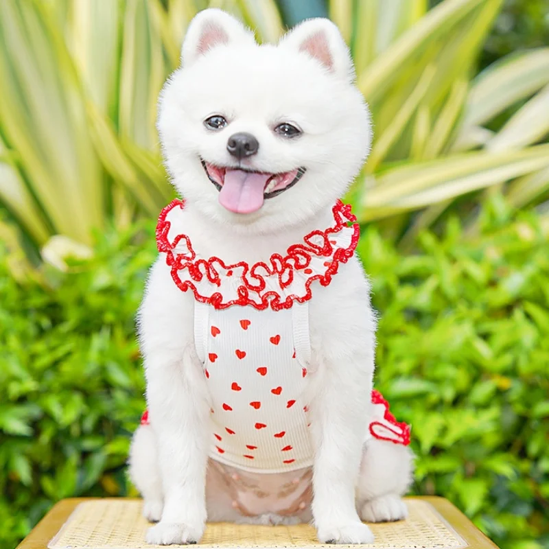 Conjunto verano para perros y gatos – Vestido falda chaleco - imagen 2