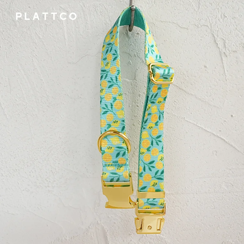 Conjunto de paseo para perro estampado limón con hebilla dorada - imagen 2
