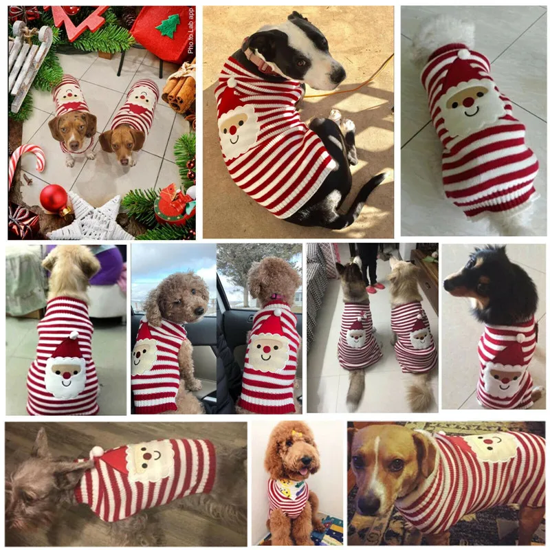 Jersey navideño de reno – Disfraz cálido para perros y gatos - imagen 5