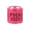 2025 pink