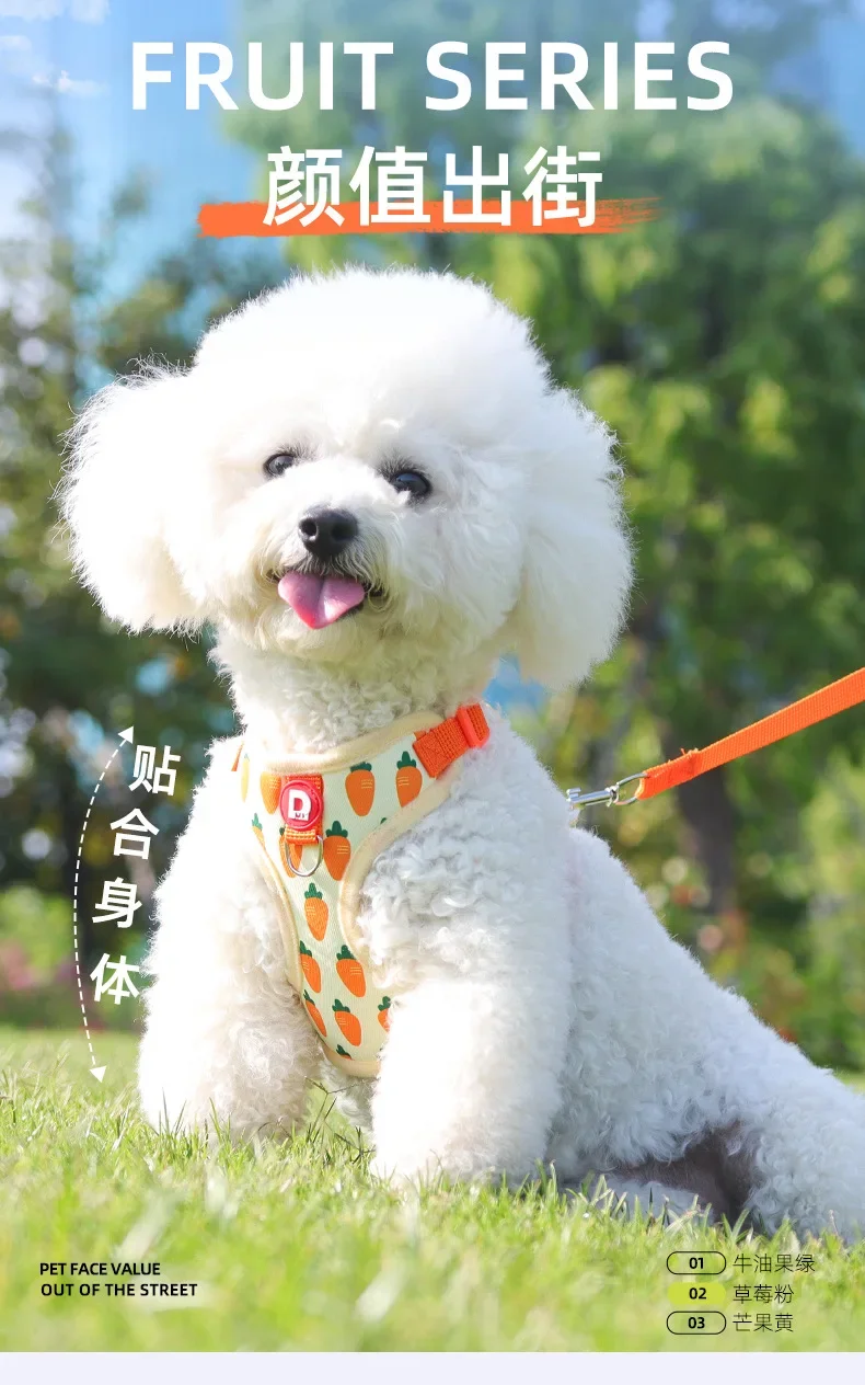 Correa para perro con estampado de frutas
