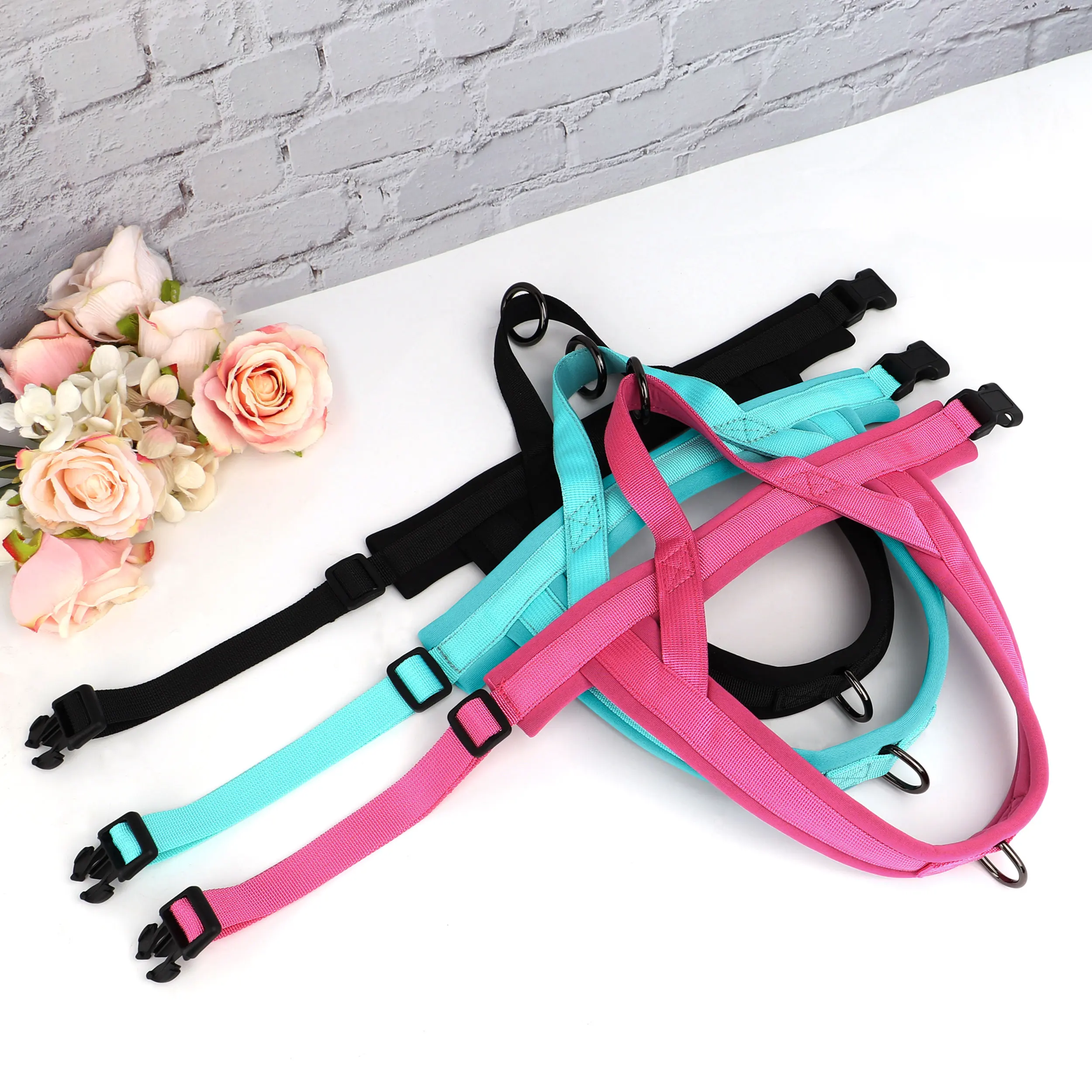 Cachorros - Diseño para cachorros