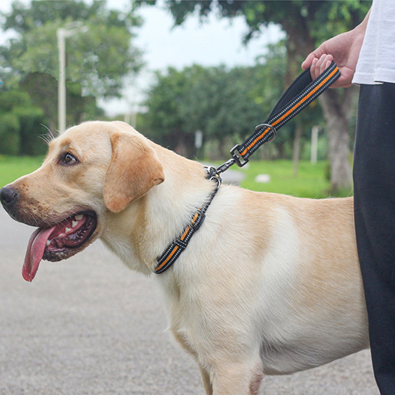 Asiento coche cadena viaje mascotas correas cortas nailon perros grandes