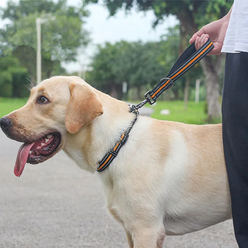 Correa reflectante para perros grandes, correas cortas de nailon para asiento de coche, cadena de viaje para mascotas - imagen 2