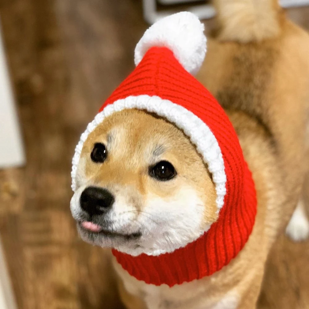 Gorro navideño bonito para perro, gorro tejido con protección contra el ruido para perro, gorro cálido de invierno, gorro de punto elástico suave para perros y gatos, regalo de Navidad, 1 ud. - imagen 4