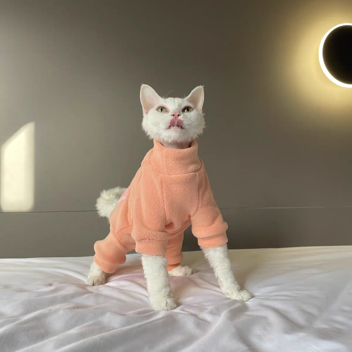 Abrigo polar de invierno para gato Sphynx, sudadera cálida de paleta de colores de macarrón de 4 patas para gatitos, traje suave de otoño para gato sin pelo - imagen 4