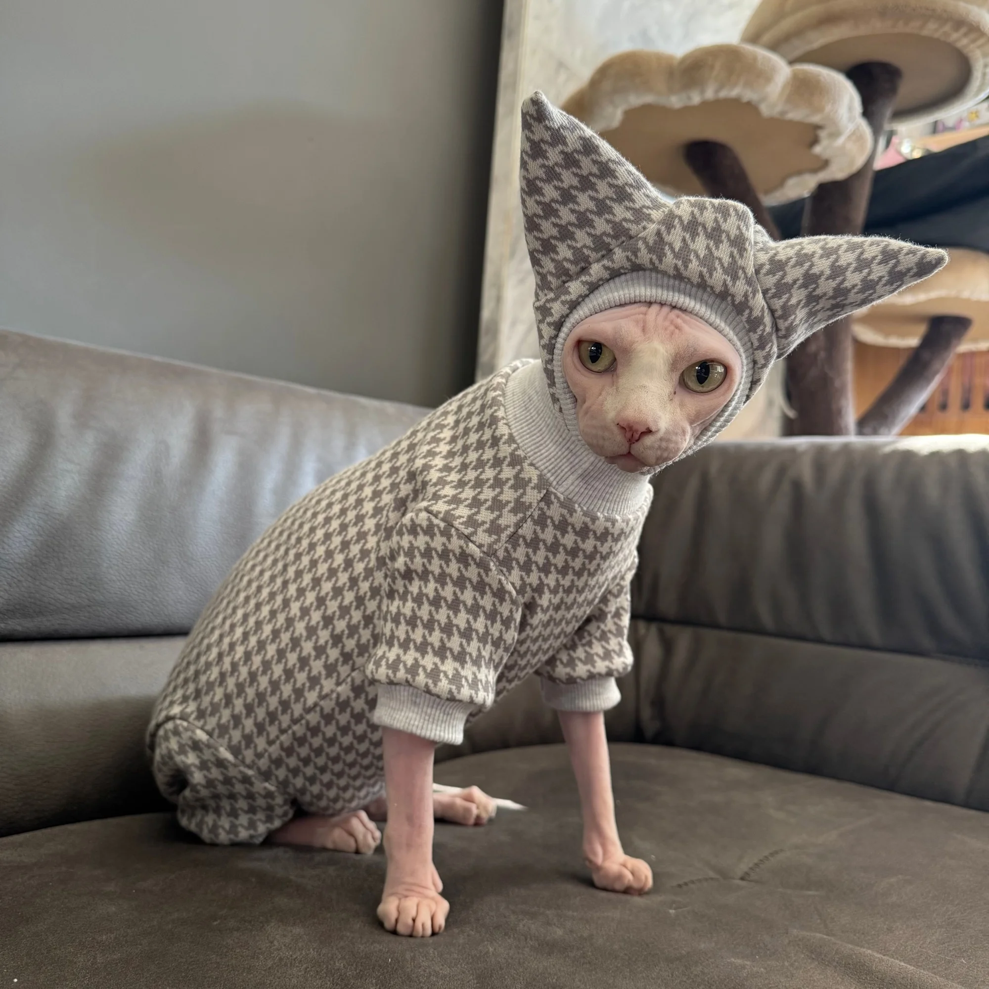 Sudadera polar con gorro para gatos Sphynx y Devon Rex – cálida - imagen 5