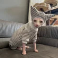 4-leg Suit