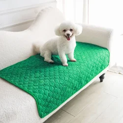 Césped artificial entrenamiento perros – Alfombra lavable reutilizable
