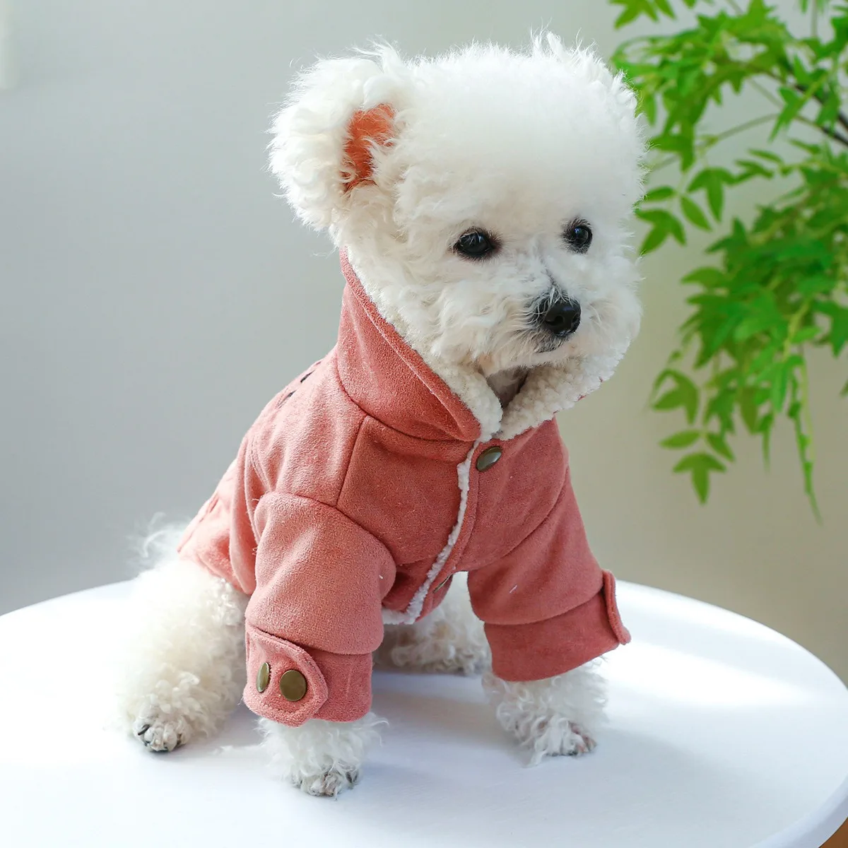 Ropa de cuero de gamuza para perros, chaqueta cálida de algodón grueso de invierno para cachorros pequeños y medianos, ropa personalizada para gatos de días fríos - imagen 3