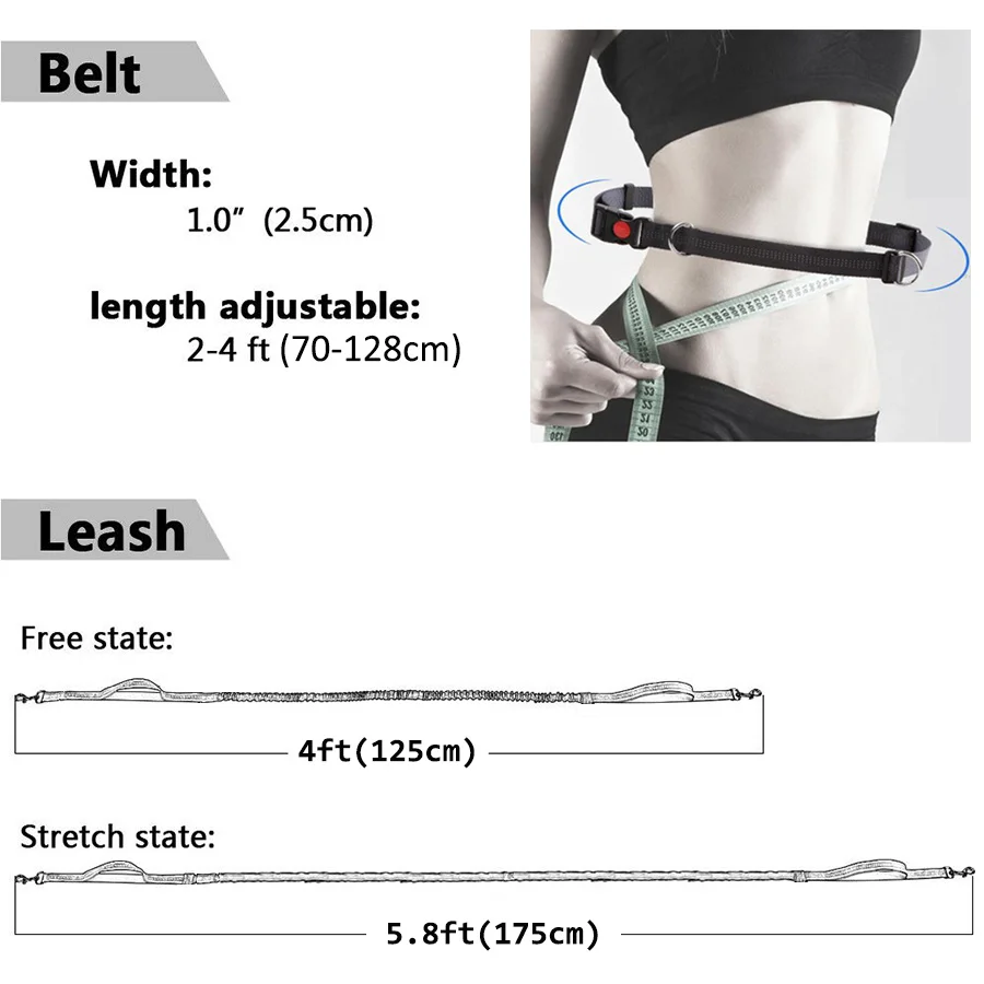 Correa elástica de nailon para perro, accesorio retráctil para correr y caminar, manos libres - imagen 3