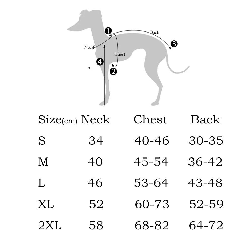 Chaqueta verde súper gruesa para Whippet