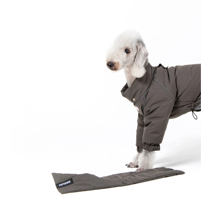 Ropa de lujo para perros galgo italiano, ropa de invierno para cachorros, abrigo cálido de cuello alto de 4 patas para sudadera para perros Whippet - imagen 5