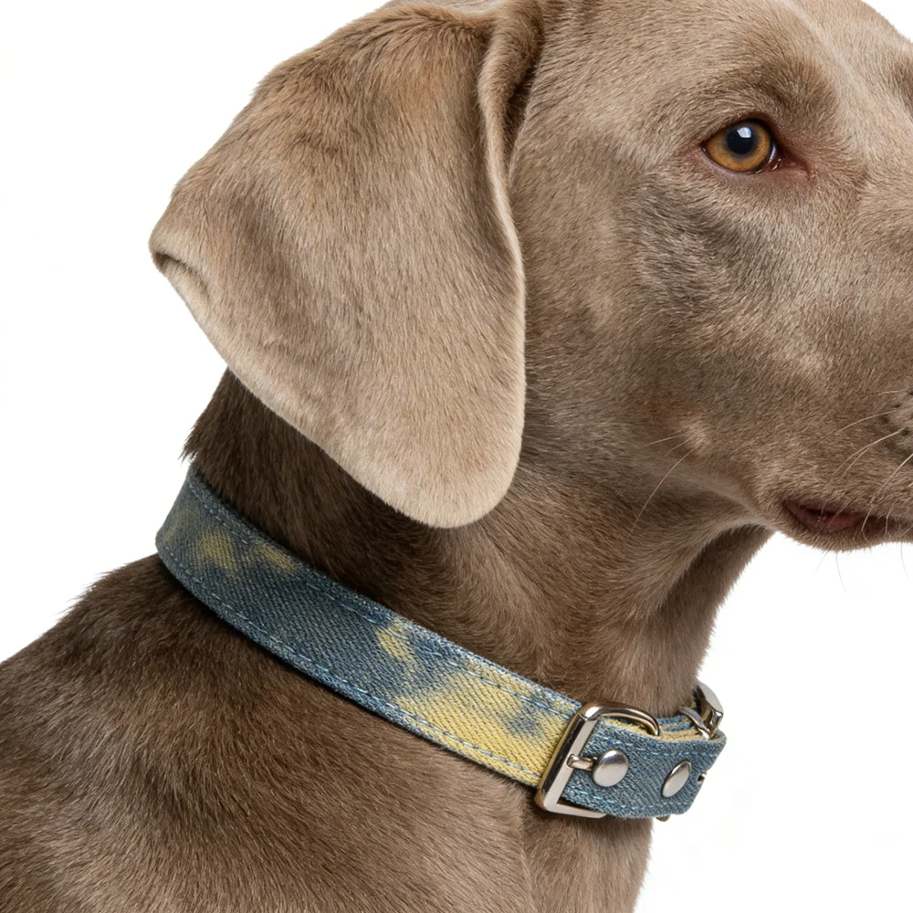 Collar vaquero ajustable multicolor con campana para perros y gatos - imagen 3