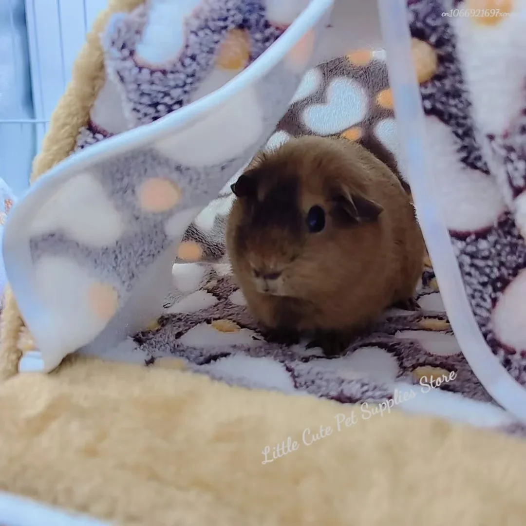 Hamaca para animales pequeños, casa para mascotas, nido para hámster, conejillo de indias, hurón, ardilla, conejo, camas colgantes de algodón cálidas para invierno - imagen 2