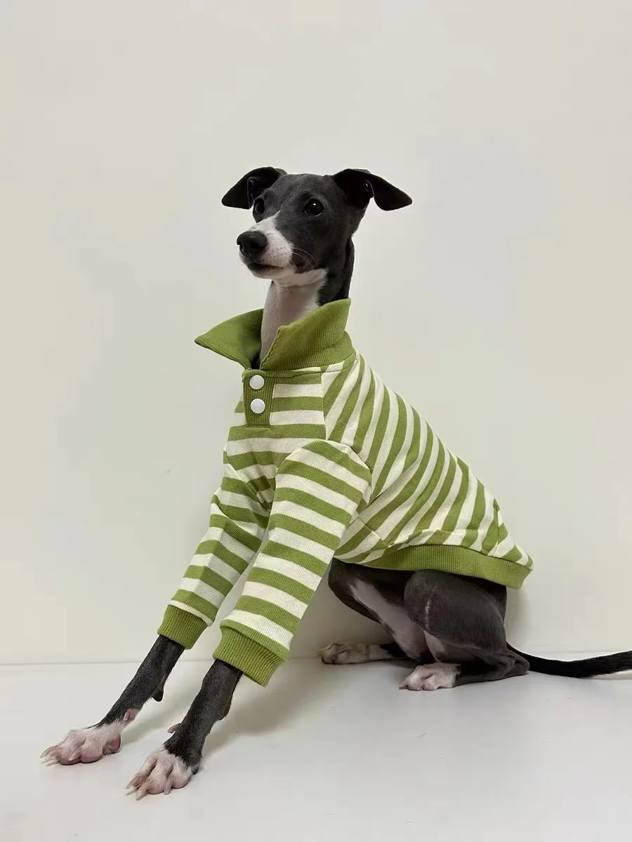 Camisa POLO de algodón puro para perros, ropa elástica para perros galgo italiano Whippet Bellington, rayas verdes, otoño e invierno - imagen 3