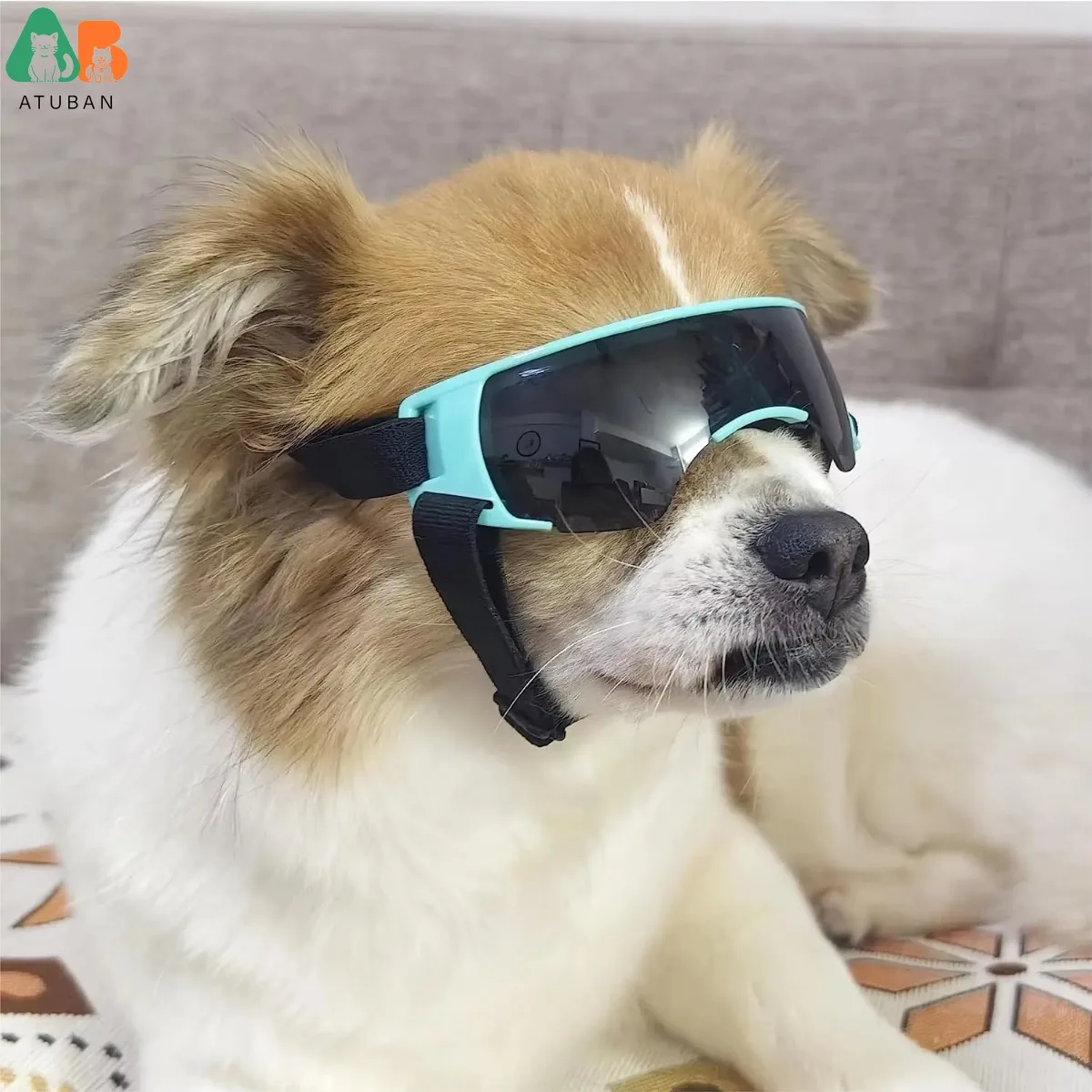 ATUBAN Gafas de sol para perros de raza pequeña, gafas para perros pequeños, gafas anti-UV a prueba de viento para perros, protección ocular al aire libre, azul - imagen 5