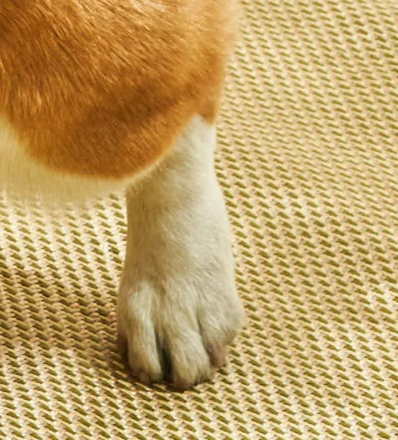 Estera para perros, cojín refrescante, suministros para mascotas, accesorios, cama pequeña, perrito para perros, colchón grande, sofá de mentira grande, Golden Retriever pequeño - imagen 4